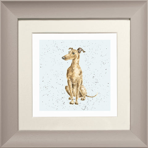 Wrendale - Framed Greeting Cards - A Dog's Life - Collection 2