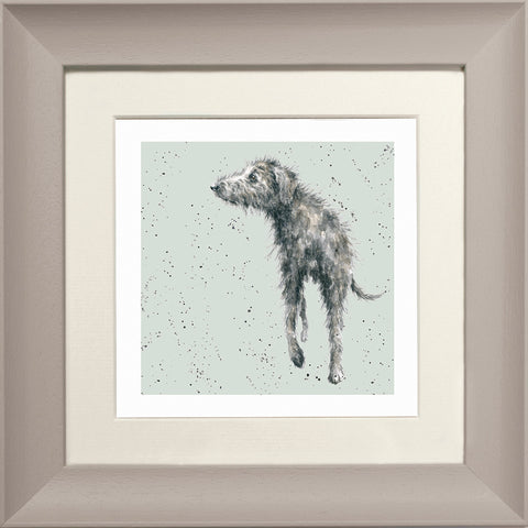 Wrendale - Framed Greeting Cards - A Dog's Life - Collection 3