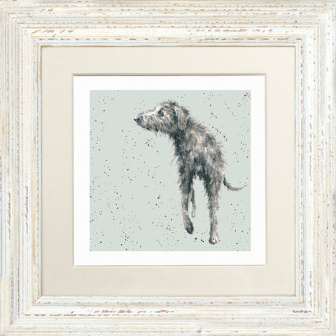 Wrendale - Framed Greeting Cards - A Dog's Life - Collection 3