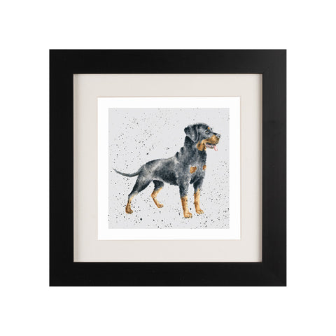 Wrendale - Framed Greeting Cards - A Dog's Life - Collection 3