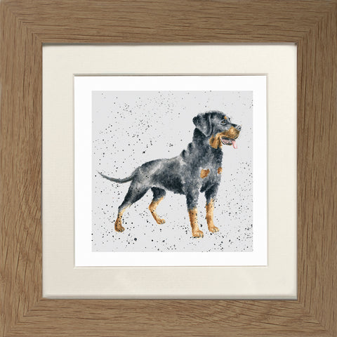 Wrendale - Framed Greeting Cards - A Dog's Life - Collection 3