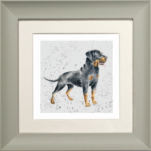 Wrendale - Framed Greeting Cards - A Dog's Life - Collection 3