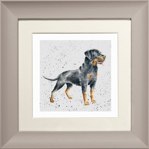 Wrendale - Framed Greeting Cards - A Dog's Life - Collection 3