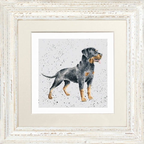 Wrendale - Framed Greeting Cards - A Dog's Life - Collection 3