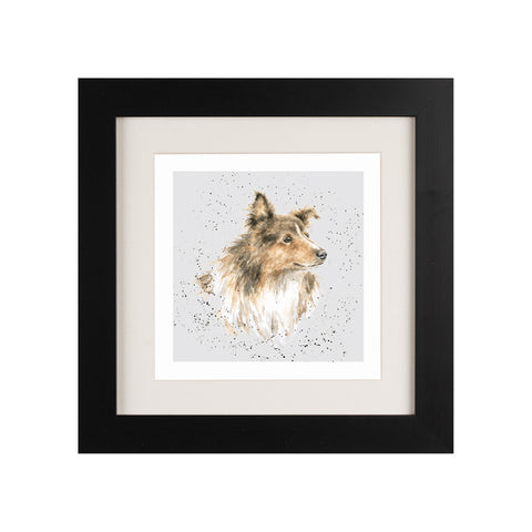 Wrendale - Framed Greeting Cards - A Dog's Life - Collection 3