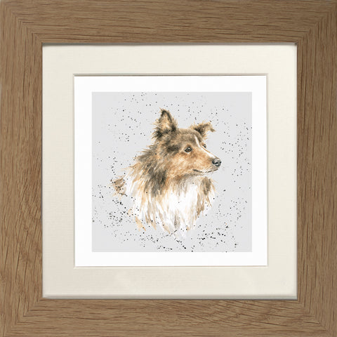 Wrendale - Framed Greeting Cards - A Dog's Life - Collection 3