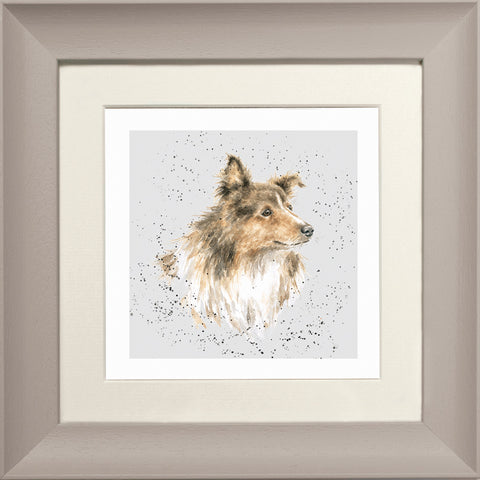 Wrendale - Framed Greeting Cards - A Dog's Life - Collection 3