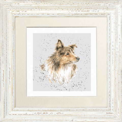 Wrendale - Framed Greeting Cards - A Dog's Life - Collection 3