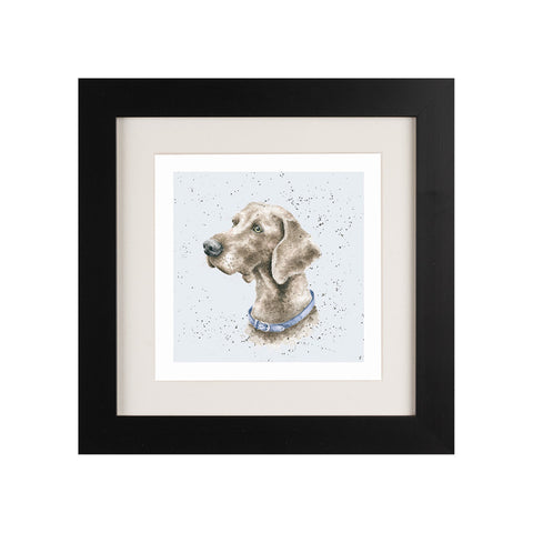 Wrendale - Framed Greeting Cards - A Dog's Life - Collection 3