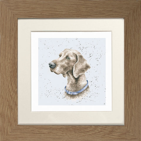 Wrendale - Framed Greeting Cards - A Dog's Life - Collection 3