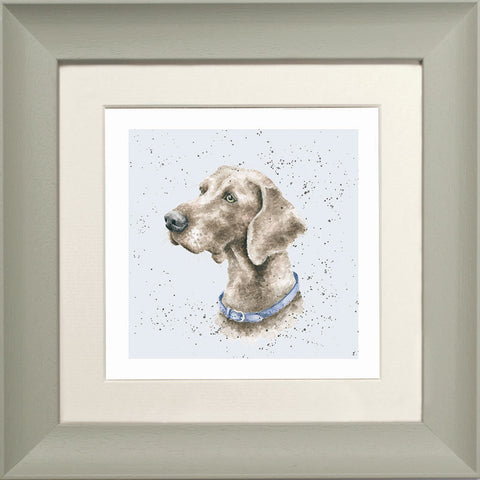 Wrendale - Framed Greeting Cards - A Dog's Life - Collection 3
