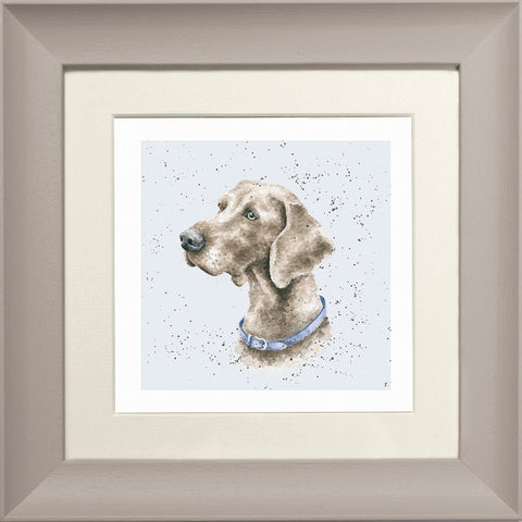 Wrendale - Framed Greeting Cards - A Dog's Life - Collection 3