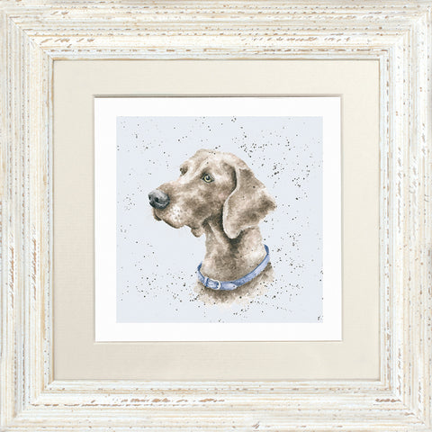 Wrendale - Framed Greeting Cards - A Dog's Life - Collection 3