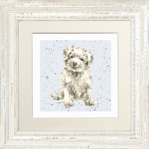 Wrendale - Framed Greeting Cards - A Dog's Life - Collection 3