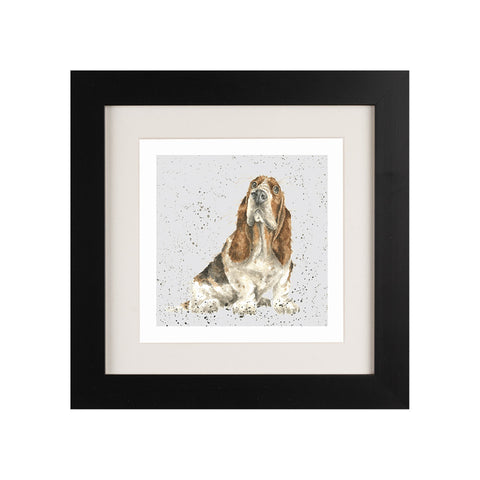 Wrendale - Framed Greeting Cards - A Dog's Life - Collection 3