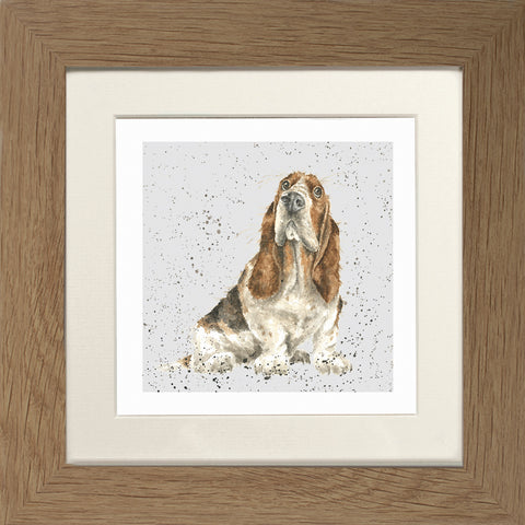 Wrendale - Framed Greeting Cards - A Dog's Life - Collection 3