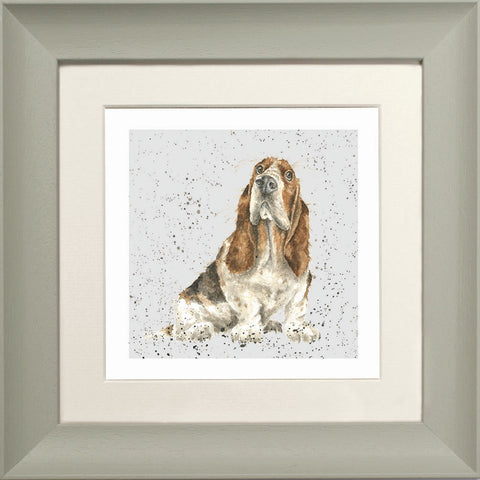 Wrendale - Framed Greeting Cards - A Dog's Life - Collection 3