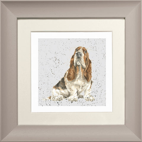 Wrendale - Framed Greeting Cards - A Dog's Life - Collection 3