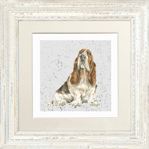 Wrendale - Framed Greeting Cards - A Dog's Life - Collection 3