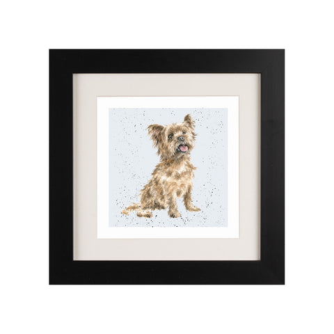 Wrendale - Framed Greeting Cards - A Dog's Life - Collection 3