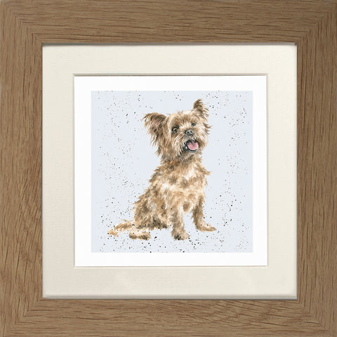Wrendale - Framed Greeting Cards - A Dog's Life - Collection 3
