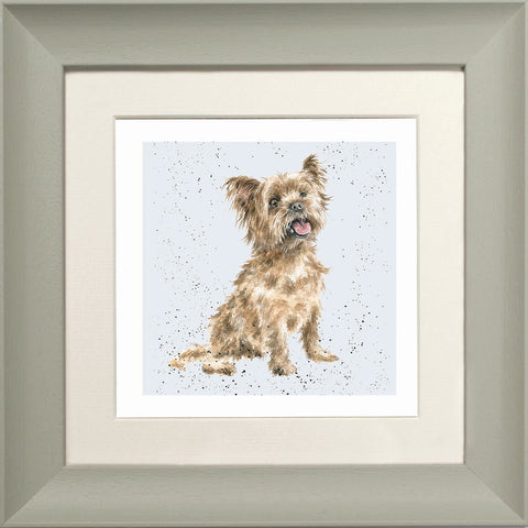 Wrendale - Framed Greeting Cards - A Dog's Life - Collection 3