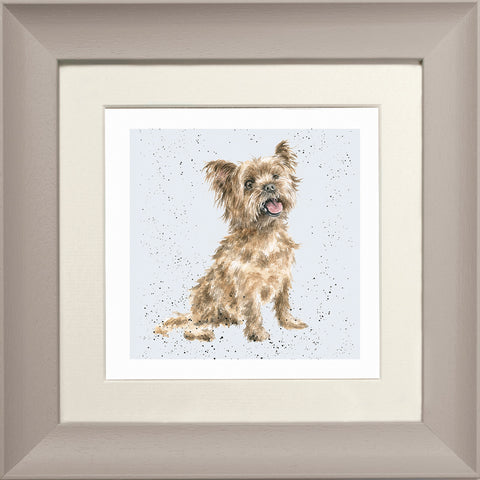Wrendale - Framed Greeting Cards - A Dog's Life - Collection 3
