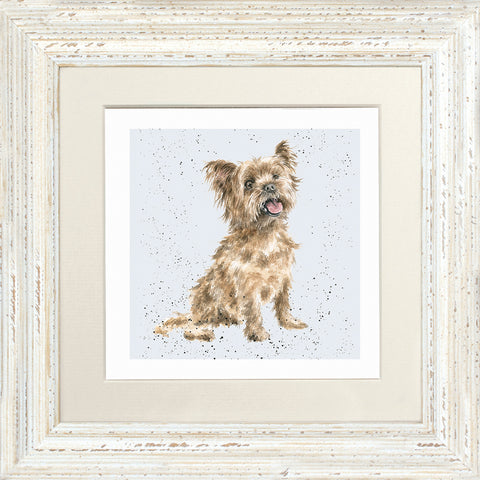 Wrendale - Framed Greeting Cards - A Dog's Life - Collection 3