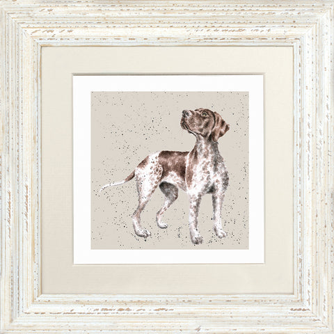 Wrendale - Framed Greeting Cards - A Dog's Life - Collection 3