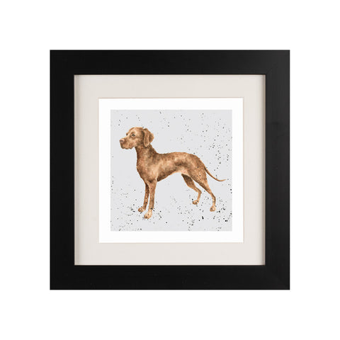 Wrendale - Framed Greeting Cards - A Dog's Life - Collection 3