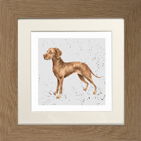 Wrendale - Framed Greeting Cards - A Dog's Life - Collection 3