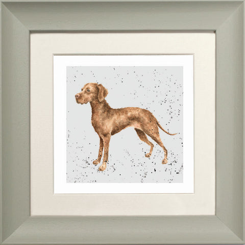 Wrendale - Framed Greeting Cards - A Dog's Life - Collection 3