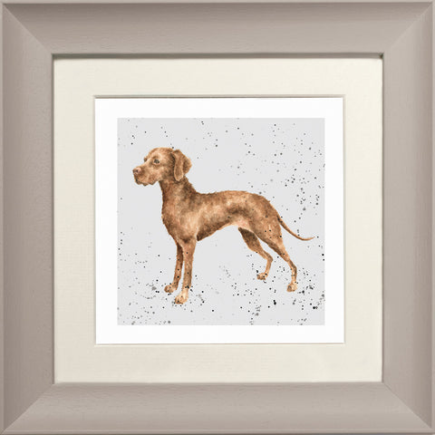 Wrendale - Framed Greeting Cards - A Dog's Life - Collection 3