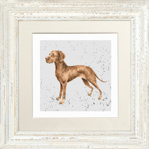Wrendale - Framed Greeting Cards - A Dog's Life - Collection 3
