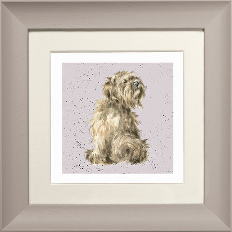 Wrendale - Framed Greeting Cards - A Dog's Life - Collection 3
