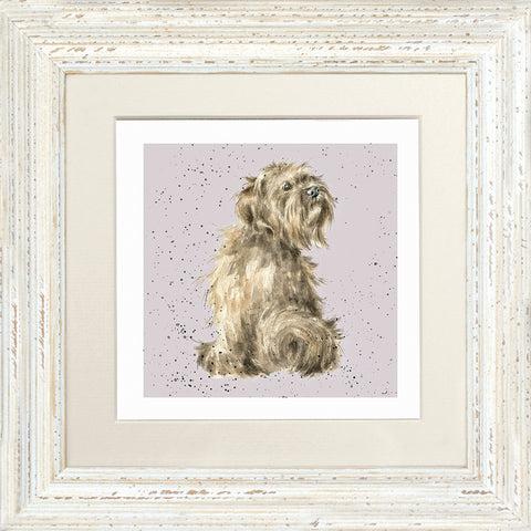 Wrendale - Framed Greeting Cards - A Dog's Life - Collection 3