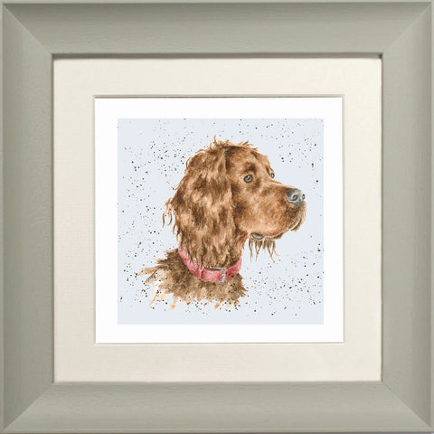 Wrendale - Framed Greeting Cards - A Dog's Life - Collection 3