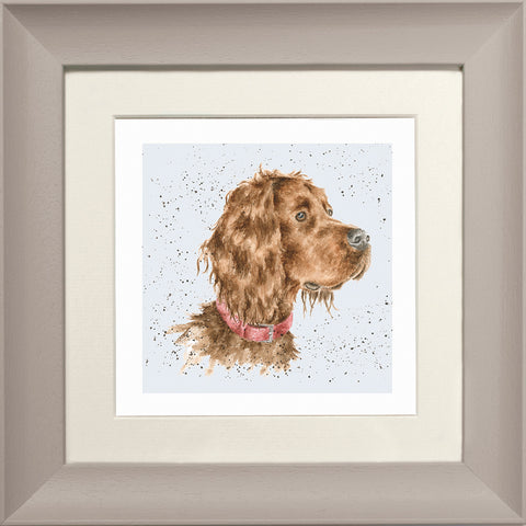 Wrendale - Framed Greeting Cards - A Dog's Life - Collection 3