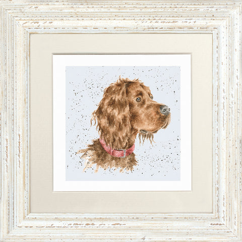Wrendale - Framed Greeting Cards - A Dog's Life - Collection 3