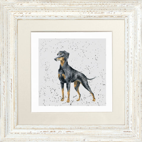 Wrendale - Framed Greeting Cards - A Dog's Life - Collection 3