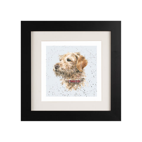 Wrendale - Framed Greeting Cards - A Dog's Life - Collection 3