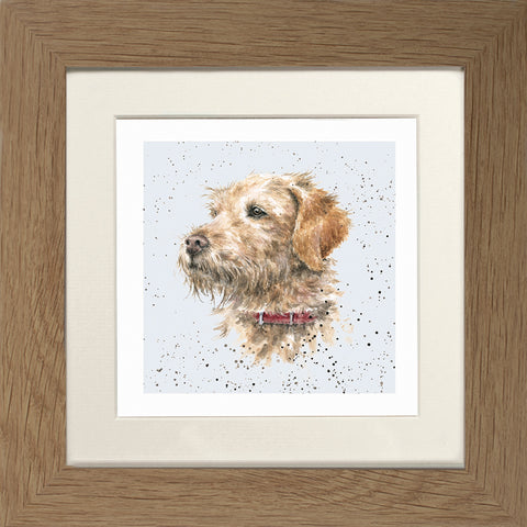 Wrendale - Framed Greeting Cards - A Dog's Life - Collection 3