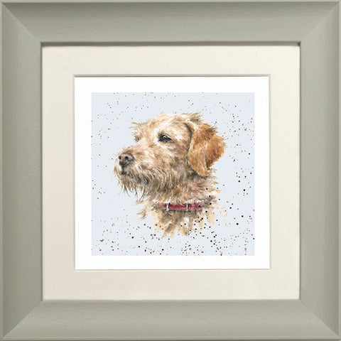 Wrendale - Framed Greeting Cards - A Dog's Life - Collection 3