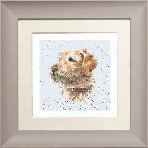 Wrendale - Framed Greeting Cards - A Dog's Life - Collection 3