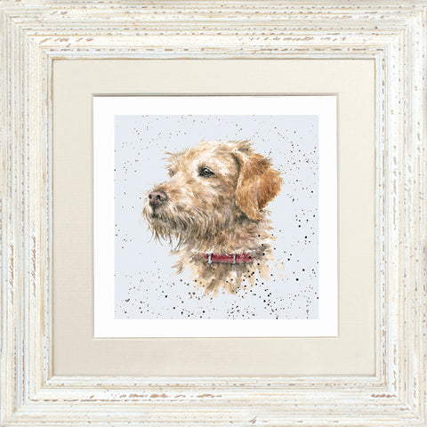 Wrendale - Framed Greeting Cards - A Dog's Life - Collection 3