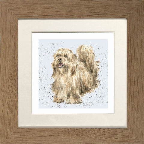 Wrendale - Framed Greeting Cards - A Dog's Life - Collection 3