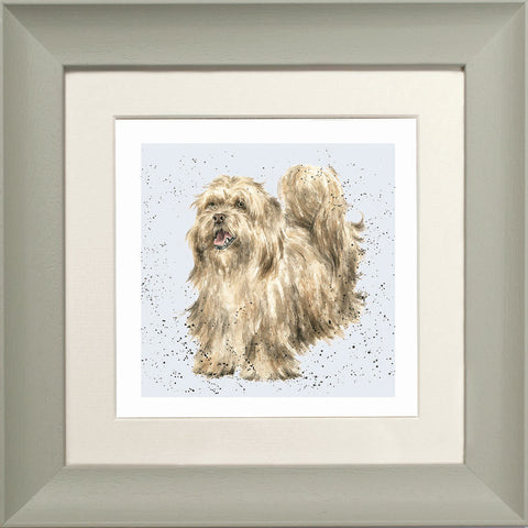 Wrendale - Framed Greeting Cards - A Dog's Life - Collection 3
