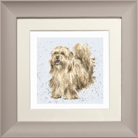 Wrendale - Framed Greeting Cards - A Dog's Life - Collection 3