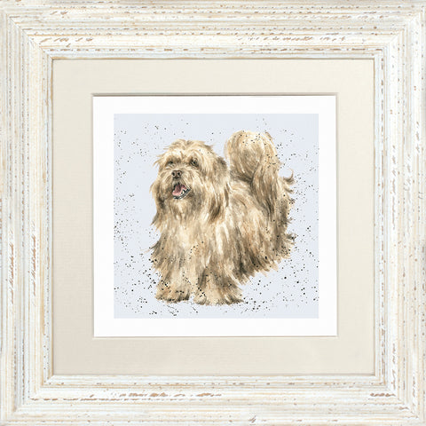 Wrendale - Framed Greeting Cards - A Dog's Life - Collection 3