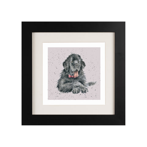 Wrendale - Framed Greeting Cards - A Dog's Life - Collection 3